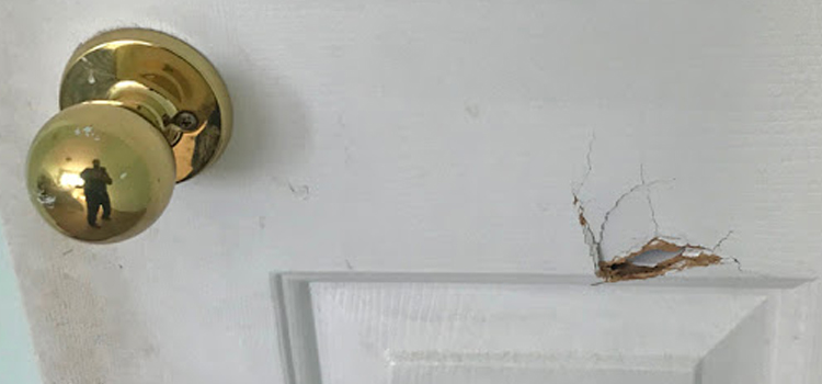 interior door hole repair Alameda